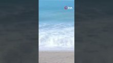 Kurucaşile'de plajda silahlı insansız hava aracı bulundu