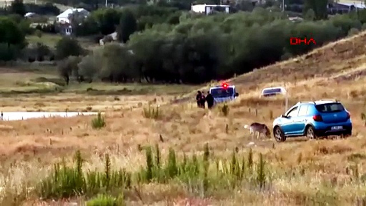 Trajik Son: İşletme Yöneticisi ve Atı Gölette Yaşamını Yitirdi