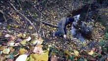 video_1_Building complete and warm survival shelter  Bushcraft earth hut, grass roof & fireplace with clay