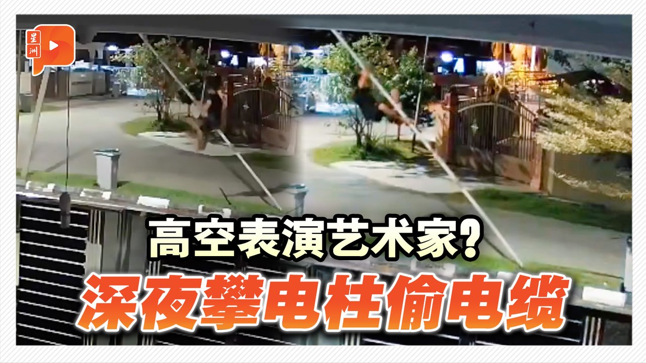 电柱成了“表演台”？男子徒手攀电柱偷电缆
