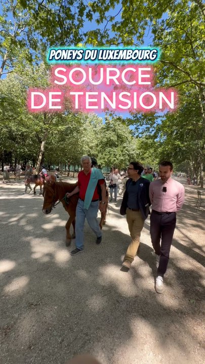 PONEYS DU LUXEMBOURG : SOURVE DE TENSION !