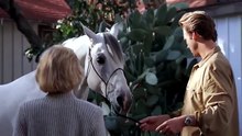 Pelicula Al filo de la sospecha (Intriga)
