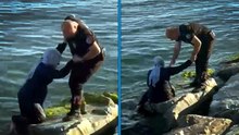 Avcılar'da kayalıklardan denize düşen kadını yunus polisleri kurtardı