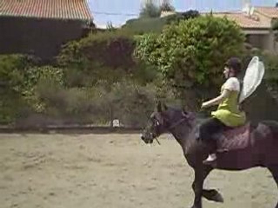 Carrousel 4