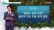 "탈모는 생존 문제" 탈모 치료 건강보험 적용 실무 검토 진행 중