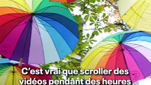 mon titre