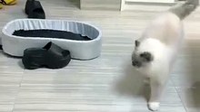A new variation on playing hide-and-seek!