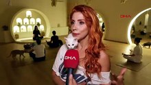 Bu da ''Patili Yoga'' projesi: Kadınlar engelli kedilerle yoga yaptı