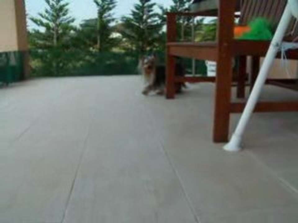 Amour 16 mois lundi 16 juin