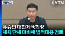 유승민 대한체육회장, 체육 단체 행정 마비에 법적 대응 검토 / YTN