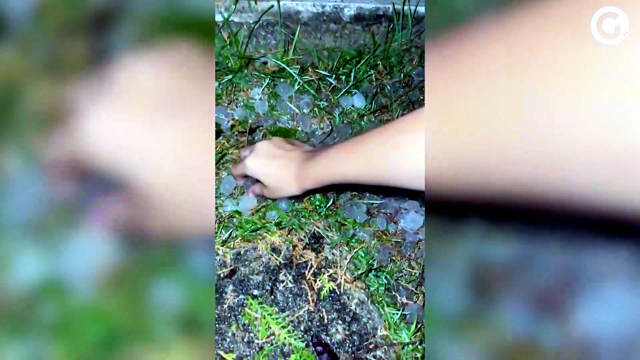 Vendaval com chuva de granizo causa destruição em Mucurici