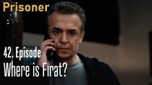 Fırat is Zeynep?-Episode 42