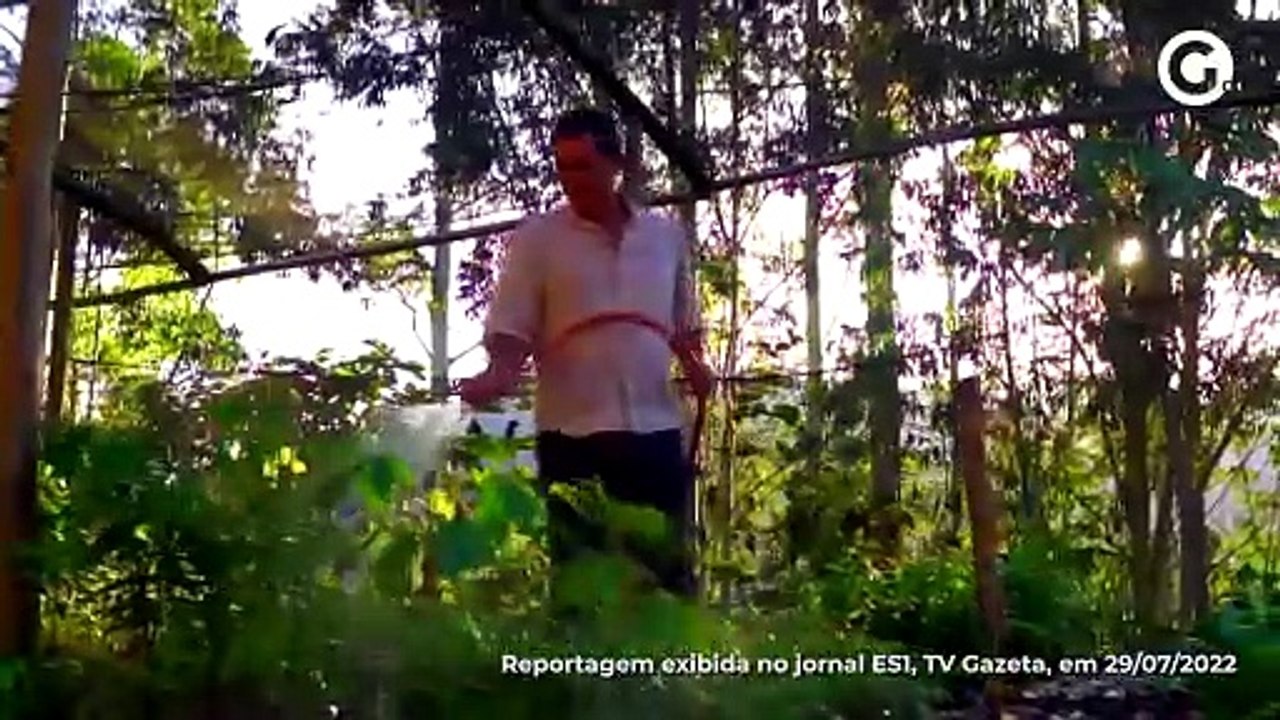 Empresário cultiva e doa mudas da Mata Atlântica em Vargem Alta