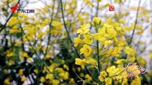 Tỏa sáng vì yêu Tập 16 - Shine for Love -为爱闪耀的她