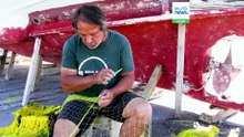 Σε απόγνωση οι αλιείς της Κρήτης από την επέλαση των λαγοκέφαλων