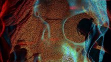 Your Brain Never Evolved (Here's Why)