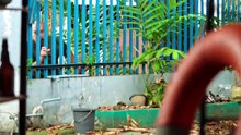 L❤️Langoy❤️360P