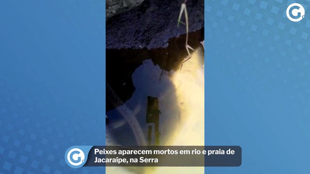 Peixes aparecem mortos em rio e praia de Jacaraípe, na Serra