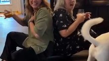 Hilarious Reaction: When Mom and Auntie Try the Latest TikTok Trend! 😂