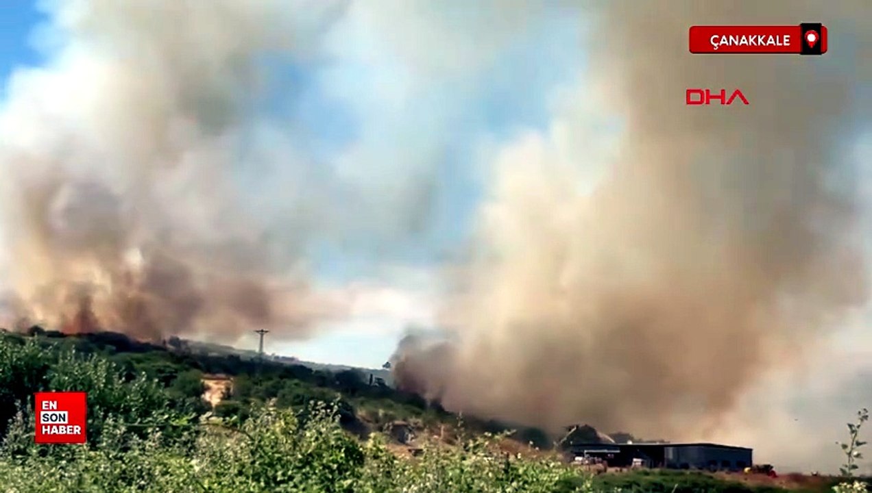 Çanakkale'de bozuk ormanda yangın