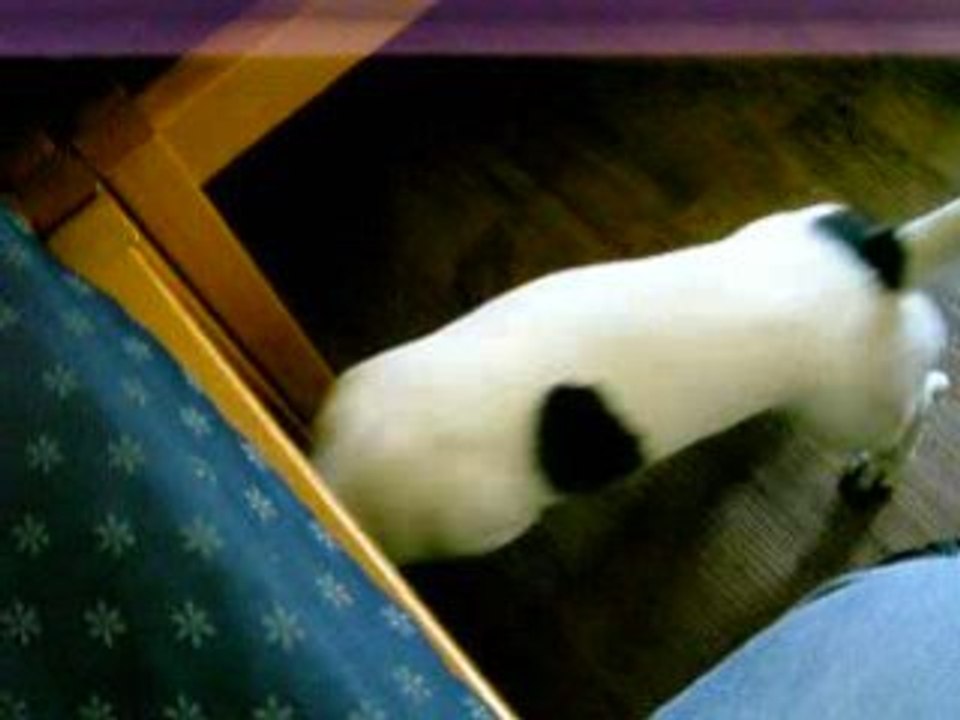 DSCF2768