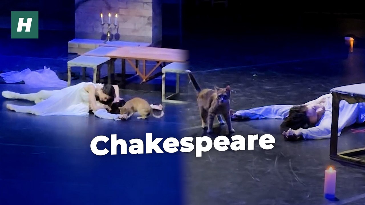 Un chat s'invite sur les planches pendant la scène la plus tragique de "Roméo et Juliette"