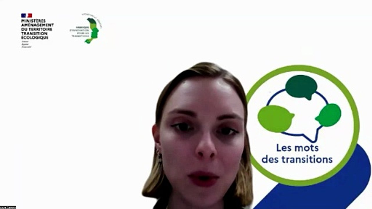 Les mots des transitions - cycle 8 - Approche systémique