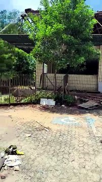 Moradores de rua invadem e roubam terreno na Praia do Suá