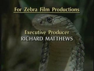 NATIONAL GEOGRAPHIC Cobras Souverains De L'Inde.3