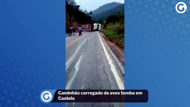 Caminhão carregado de aves tomba em Castelo