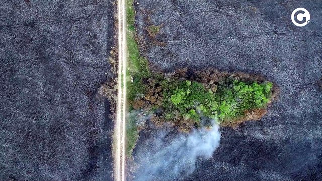 Imagens aéreas mostram destruição do Parque Paulo César Vinha