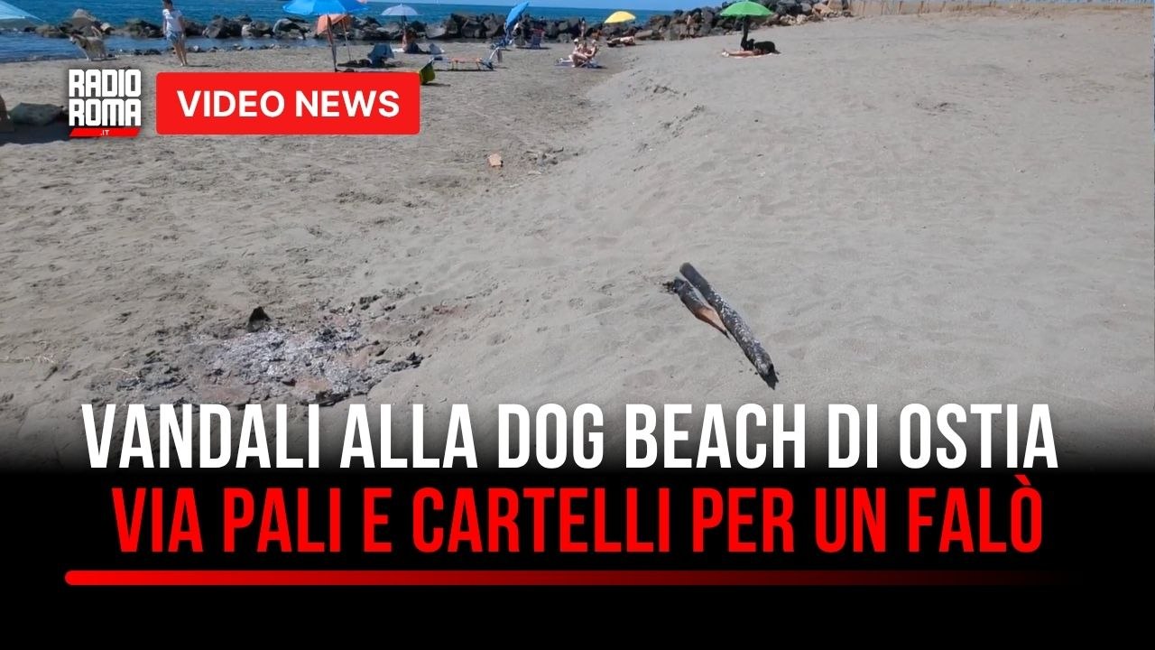Raid vandalico alla Dog Beach di Ostia: falò con i pali della recinzione