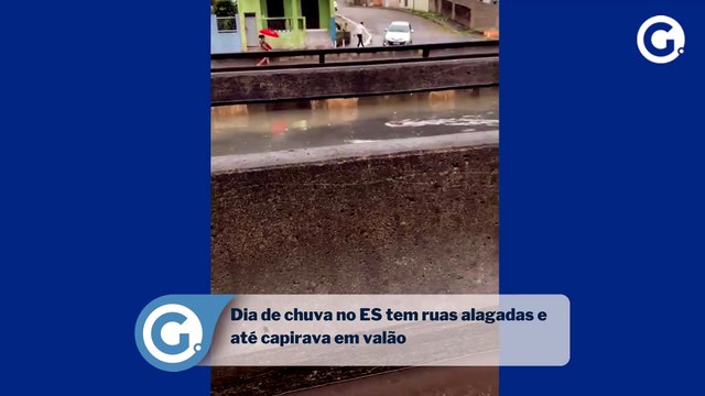 Dia de chuva no ES tem ruas alagadas e até capivara em valão