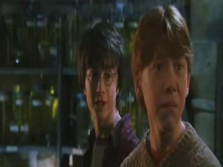 Harry Potter Parodie