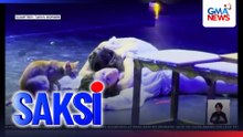 Pusa, umeksena sa gitna ng pagtatanghal ng "Romeo and Juliet" ballet performance | Saksi