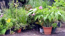 Garden Rescue - Season 11 Episode 7 - Coventry