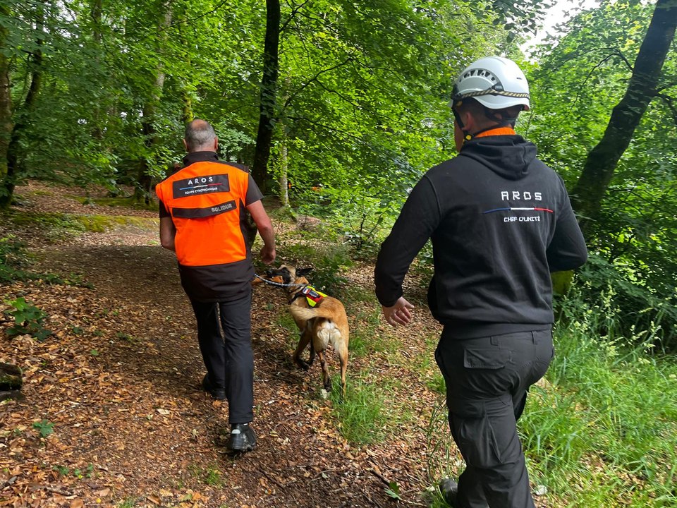 Chiens sauveteurs. Des chiens formés bénévolement à la recherche de personnes portées disparues