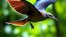 This Bird Flies Like It's Possessed