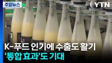 K-푸드 열풍에 수출도 활기...전남광주 통합 효과도 기대 / YTN