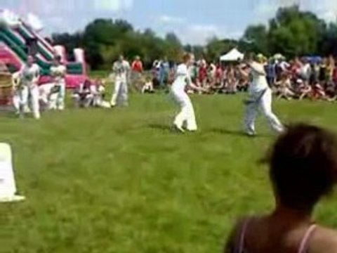 Demonstration capoeira, fete de la musique 2008