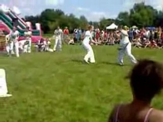 Demonstration capoeira, fete de la musique 2008