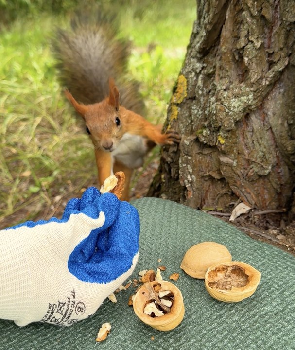 A useful hack for your next trip: Making a fire from a nut 😯