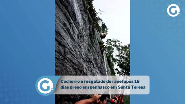 Cachorro é resgatado de rapel após 18 dias preso em penhasco em Santa Teresa