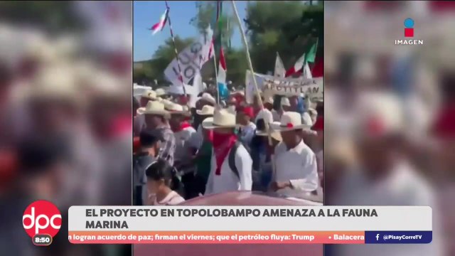 Exigen cancelar proyecto de planta de amoniaco en Sinaloa | De Pisa y Corre con Paola Rojas