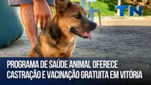 Programa de saúde animal oferece castração e vacinação gratuita em Vitória