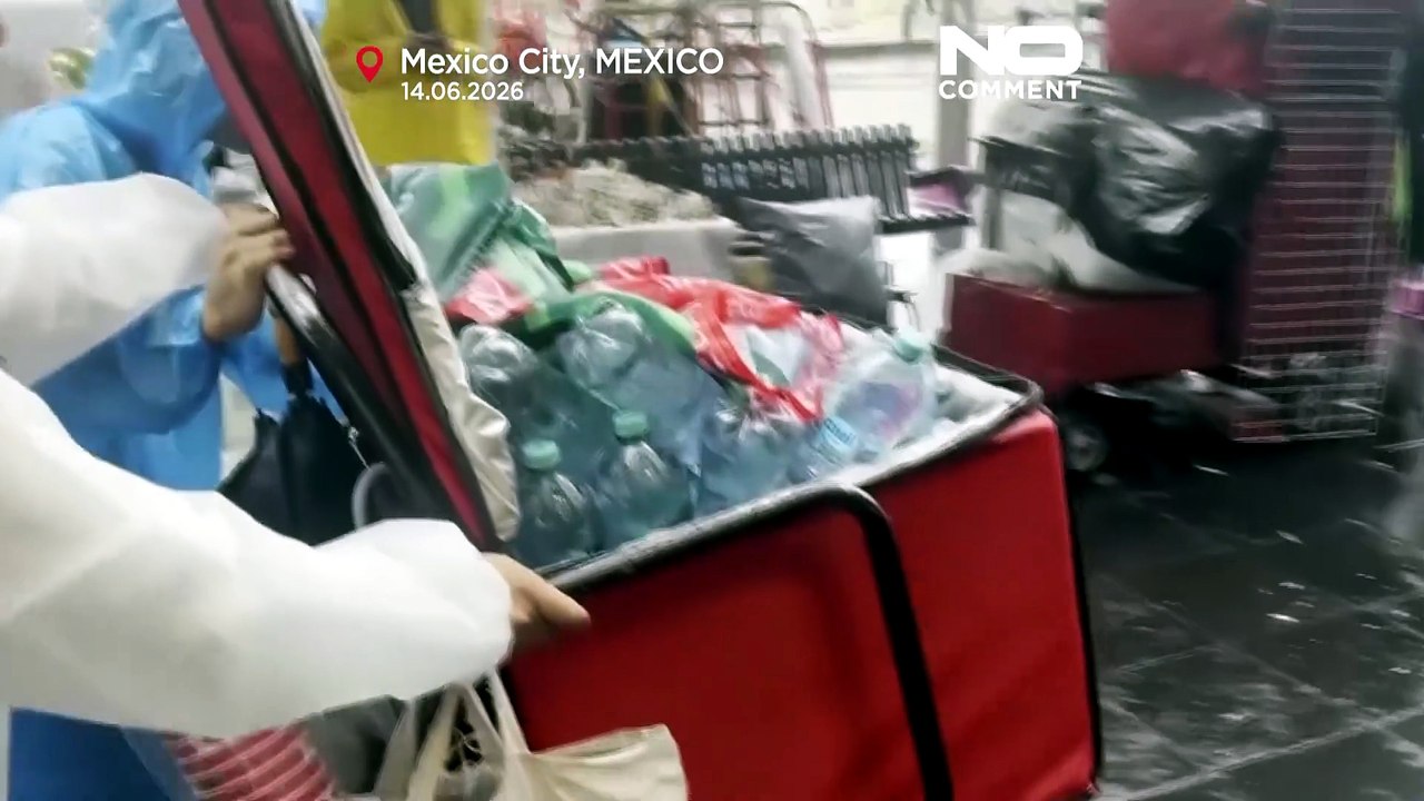 México: pato Merlin torna-se mascote viral do M...