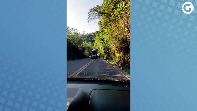 Caminhão-cegonha é flagrado trafegando na contramão em trecho da BR 262 no ES