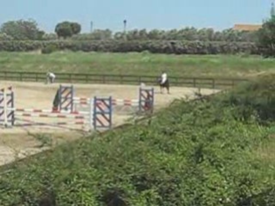 Concours Pegaso