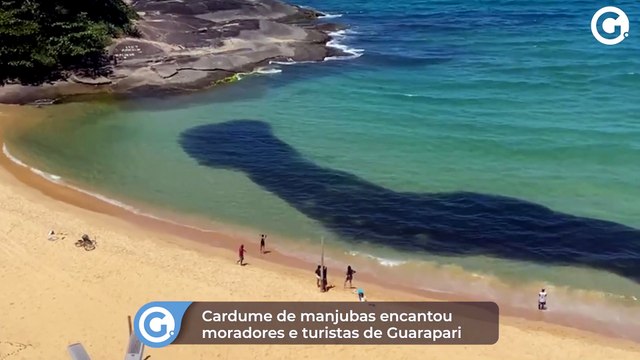 Cardume de manjubas encantou moradores e turistas de Guarapari