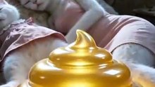 #FUNNY_VIRAL_VIDEO